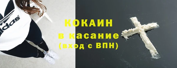 твердый Белокуриха