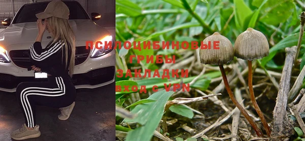 твердый Белокуриха